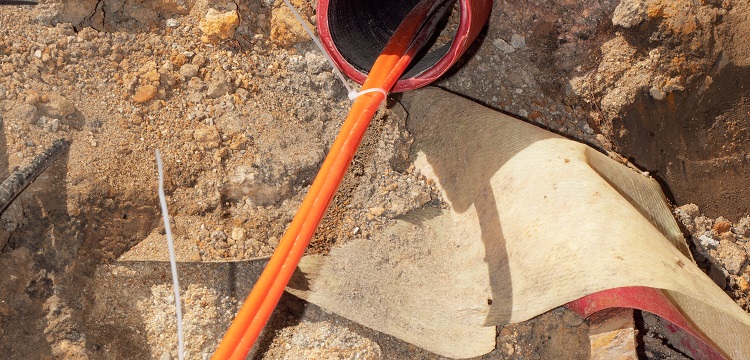 公共衛生檢測項目及標準有哪些？