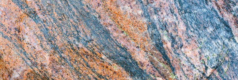 林業碳匯最新方法學出爐：全方位剖析林業碳匯