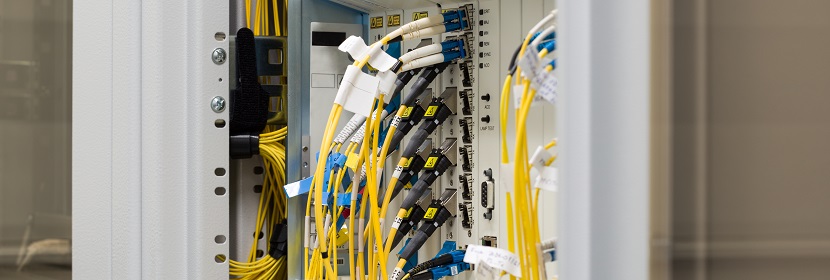 熒光強(qiáng)度測(cè)定