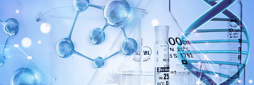 高鹽誘導鹽敏感高血壓大鼠模型