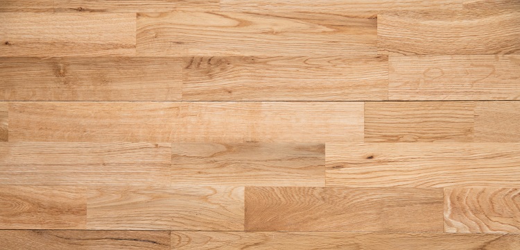 2/3肝切除手術(shù)誘導(dǎo)小鼠肝再生模型