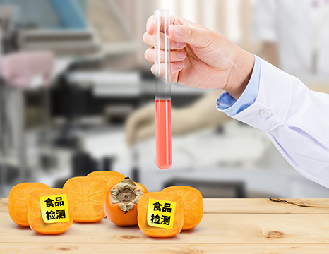 鐵氧體檢測(cè)