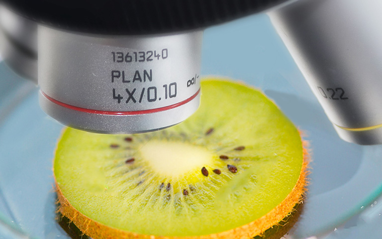 無(wú)氧銅檢測(cè)