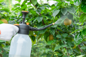 角焊縫折斷試驗(yàn)