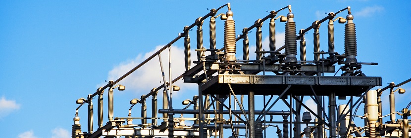 飯團(tuán)檢測(cè)