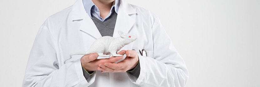 急性經口毒性試驗