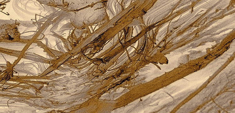 氧化誘導時間檢測