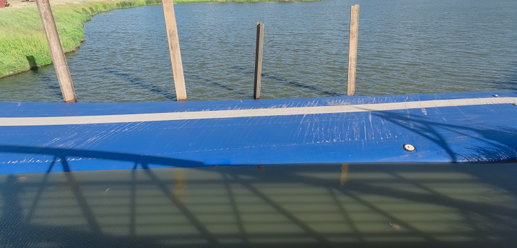 二甲基丁基檢測