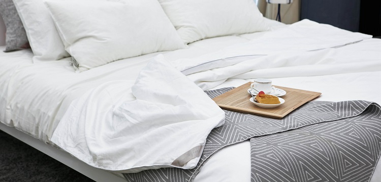 磷酸鐵鋰檢測(cè)