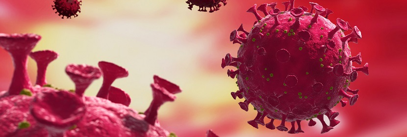 毒理學(xué)試驗評估