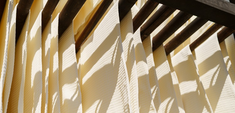 化學物質滲透試驗