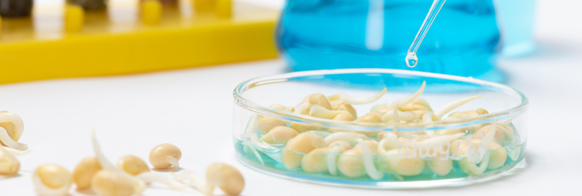 食品毒害物質檢測