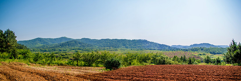 耕地質(zhì)量評(píng)價(jià)檢測(cè)