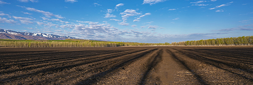 耕作層剝離驗收