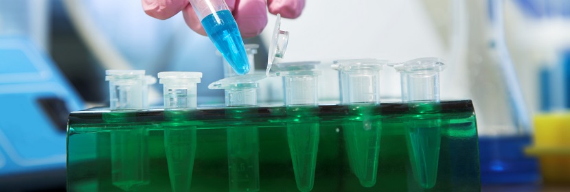 化學(xué)品經(jīng)口毒性試驗(yàn)