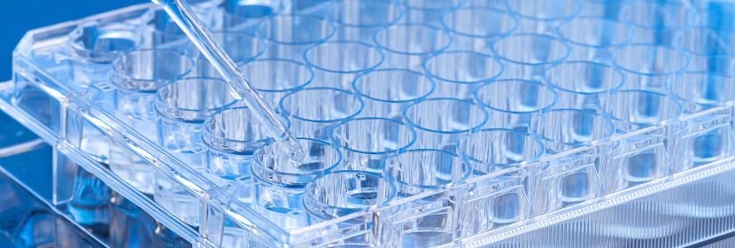 醋酸氯己定檢測(cè)