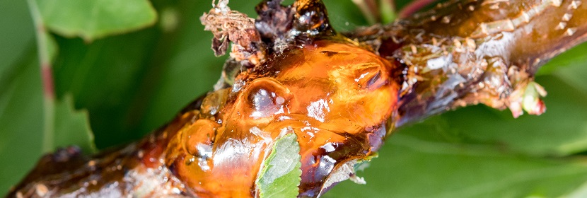 合成樹脂乳液外墻涂料檢測