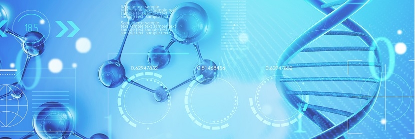 集裝箱門框密封條檢測(cè)