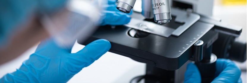 氯丁二烯橡膠CR244檢測(cè)